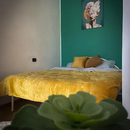 Apartment Studio